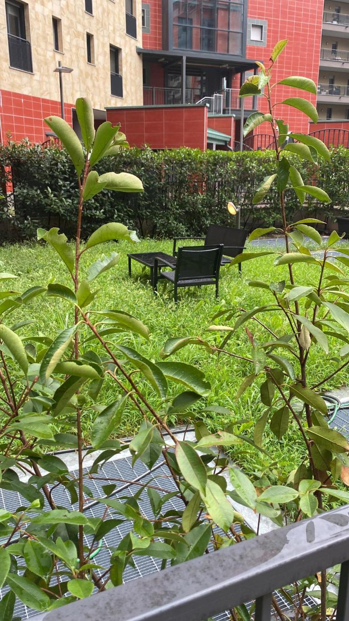 Cos54 - Exclusive Apartment With Garden In Mailand Exterior foto